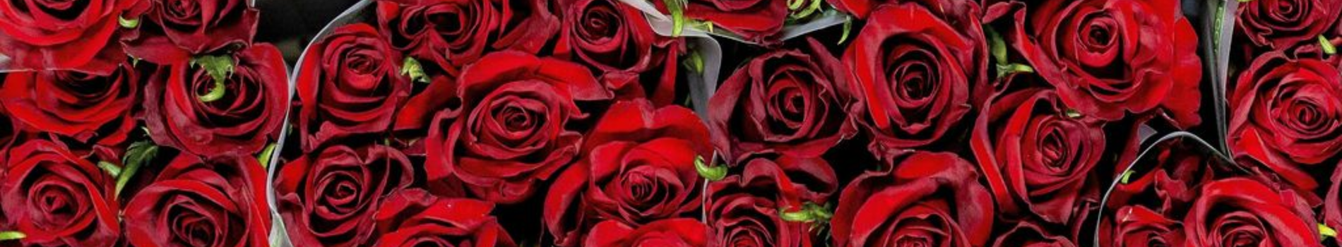 Valentijnsdag outfit inspiratie 2026