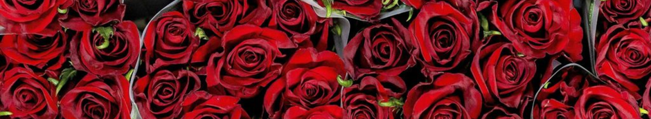 Valentijnsdag outfit inspiratie 2026