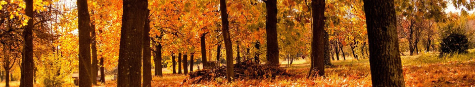 Fall / Winter 2025 trends om in de gaten te houden