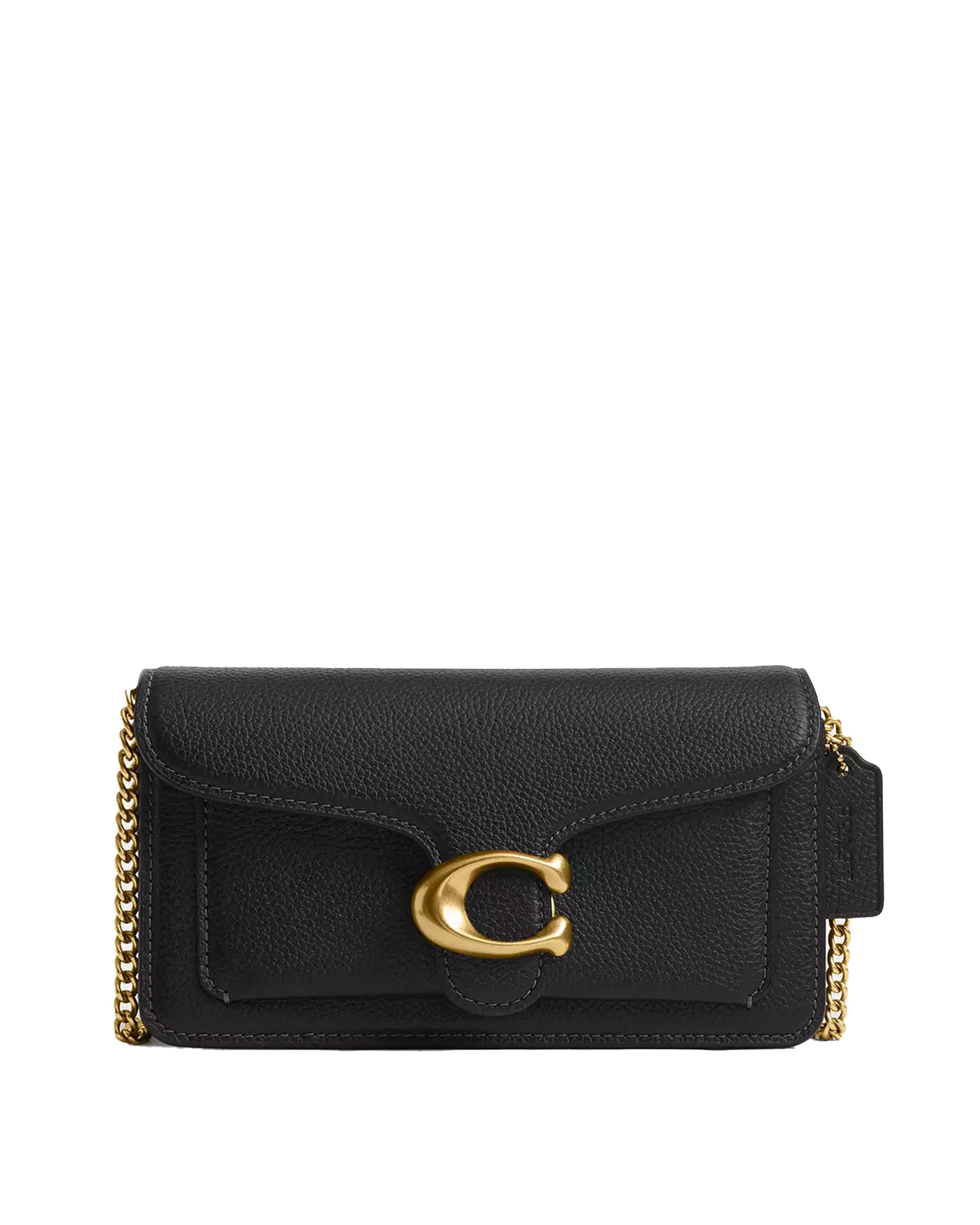 Polished Pebbled Leather Tabby 19