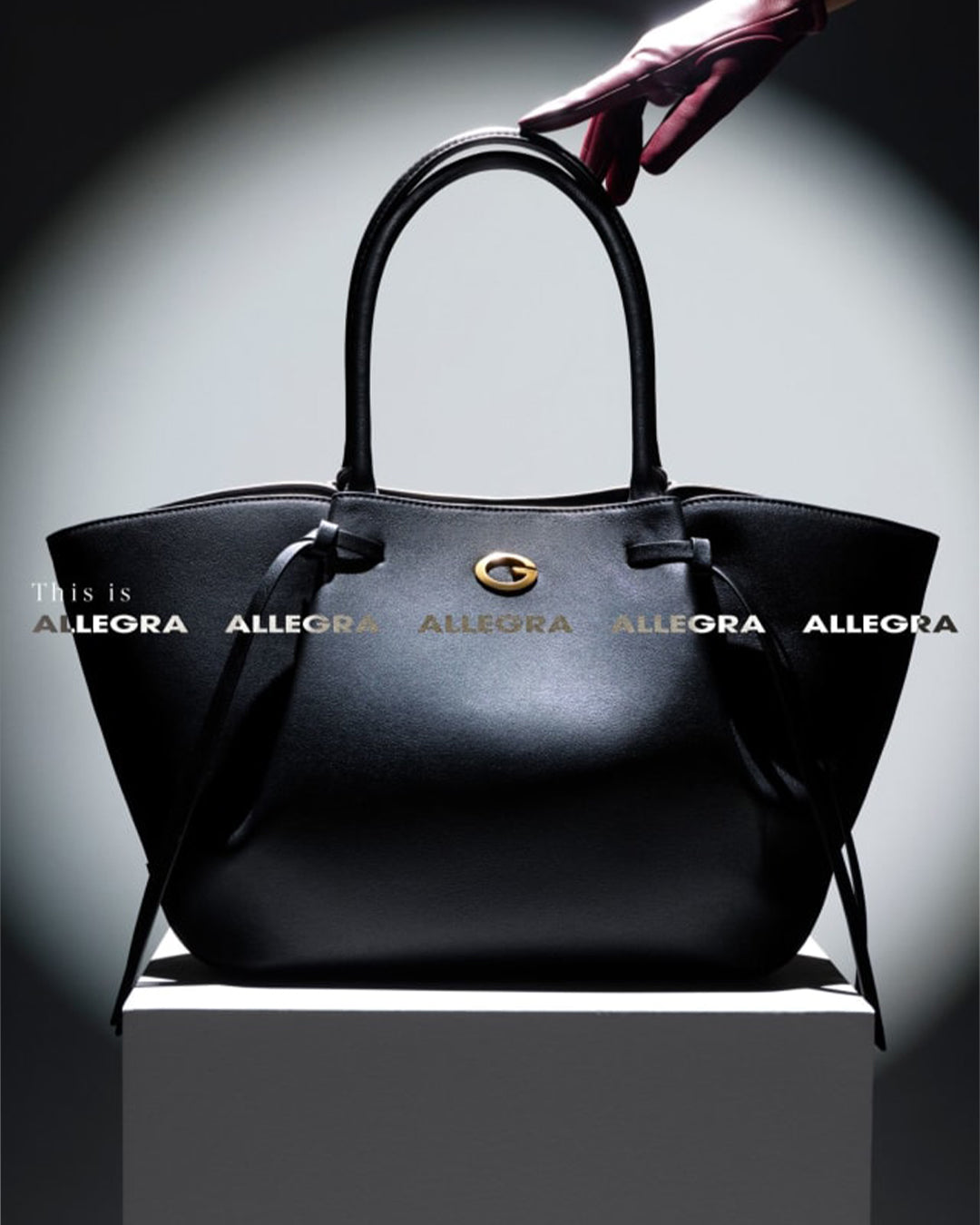 Allegra Girlfriend Tote