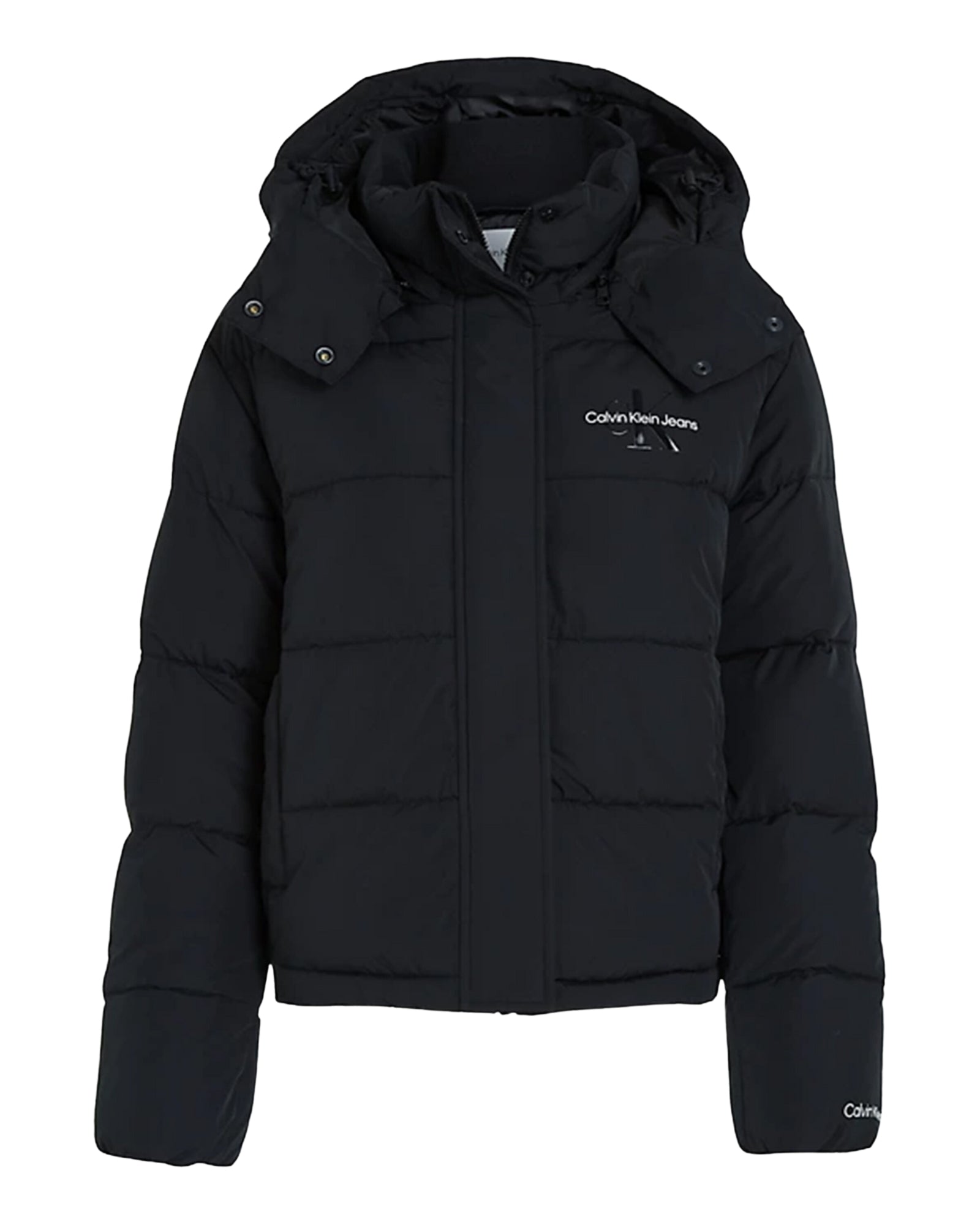 Monologo Short Puffer