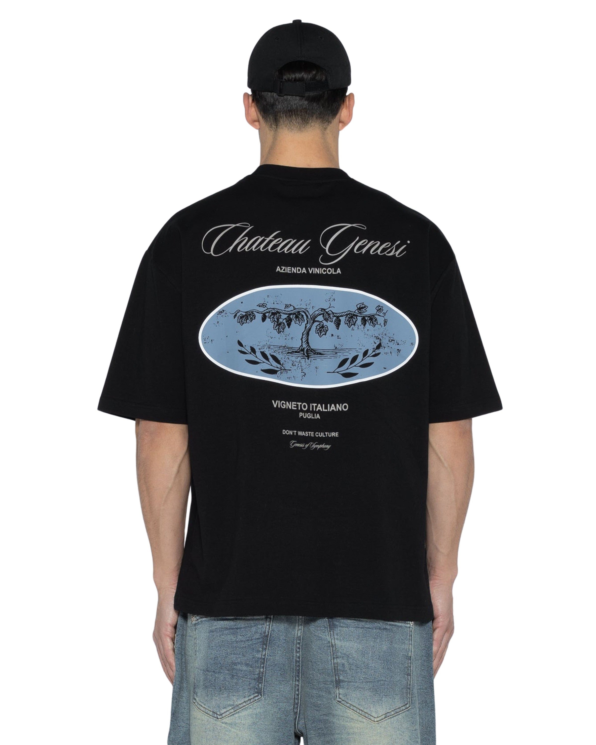 Firuz Chateau Genesi