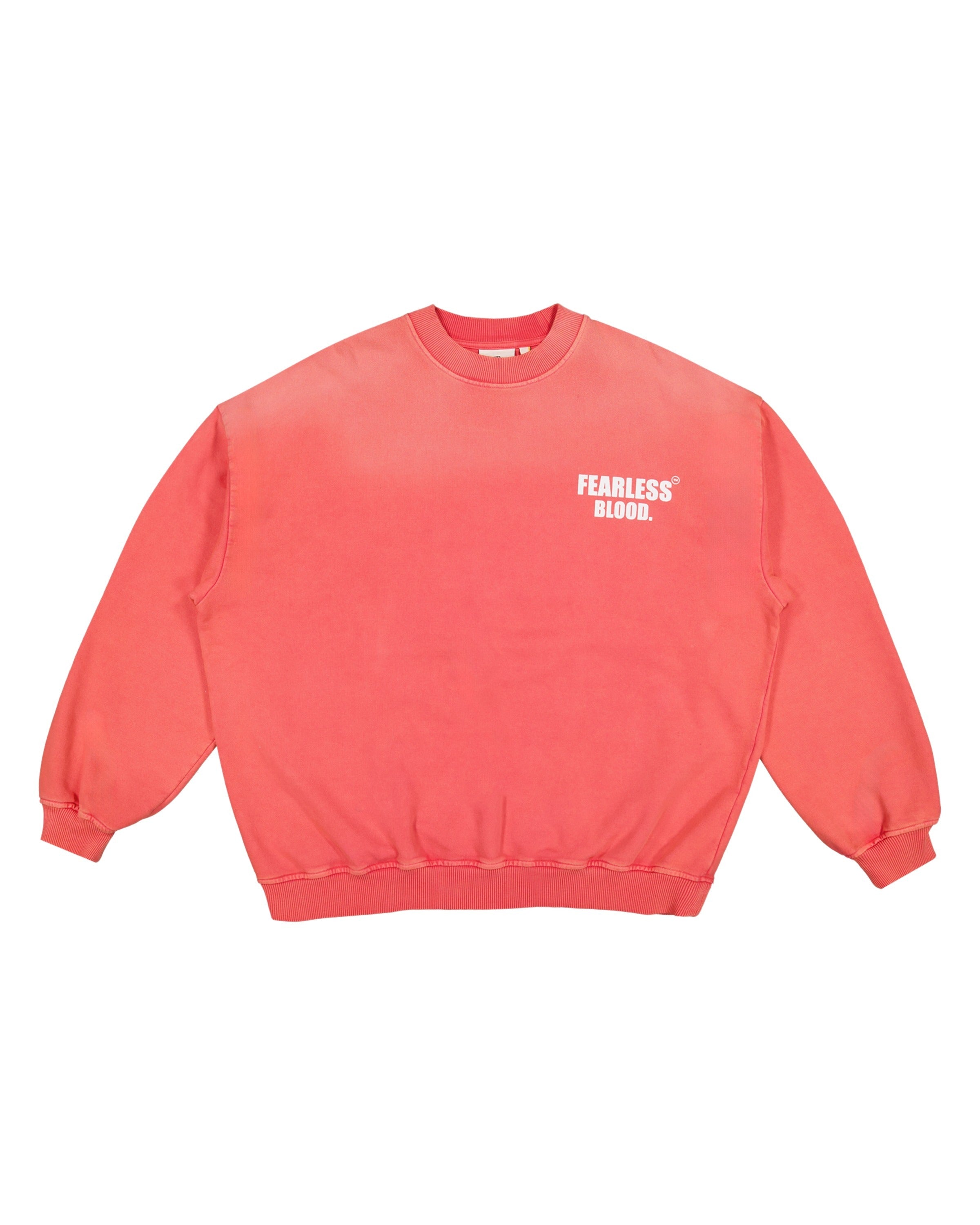 Fb Crewneck Sweater 02