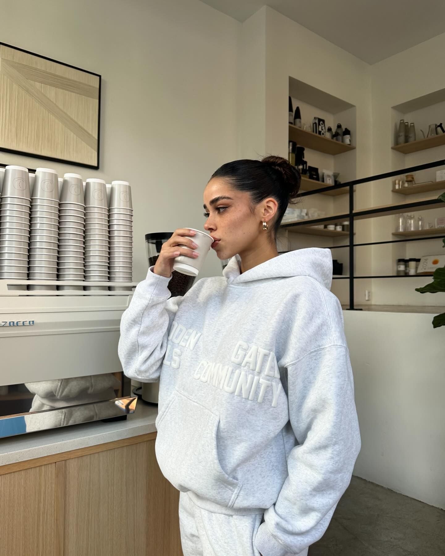 Gated Community Hoodie Light Grey