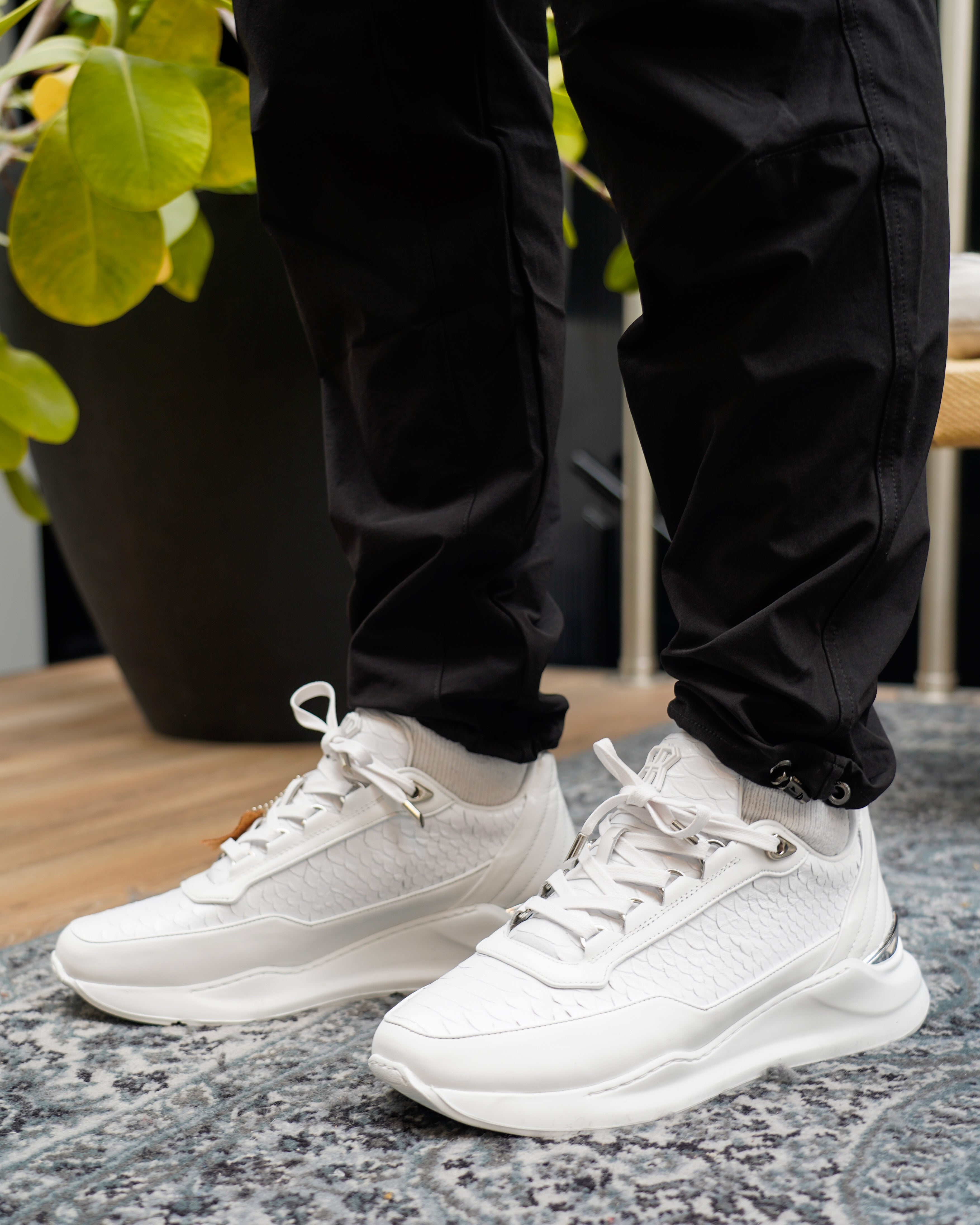 Hector Runner Python Cut Matt Nappa Sneaker