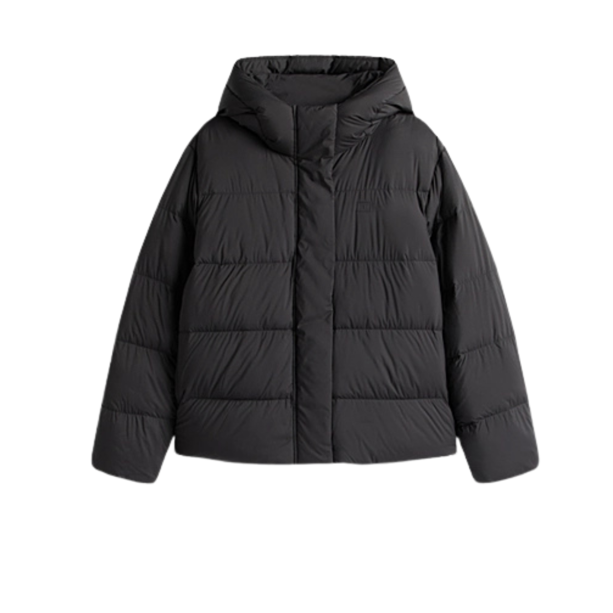 Modern Down Pufferjas